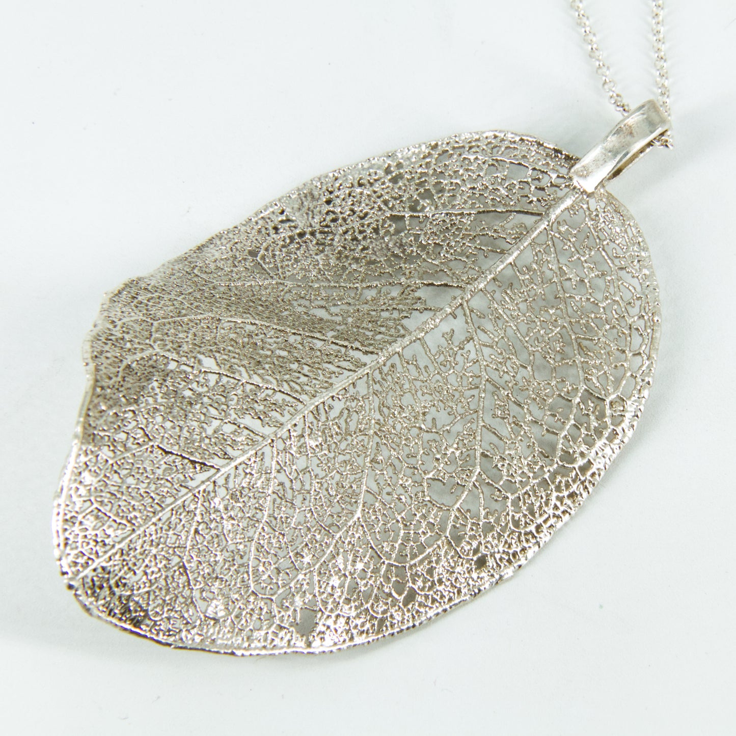 Colgante hoja de boldo