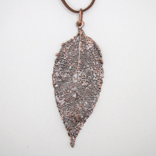 Hoja de Maqui esqueletizada