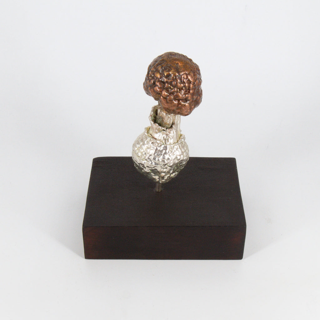 08 - Primordio Amanita muscaria