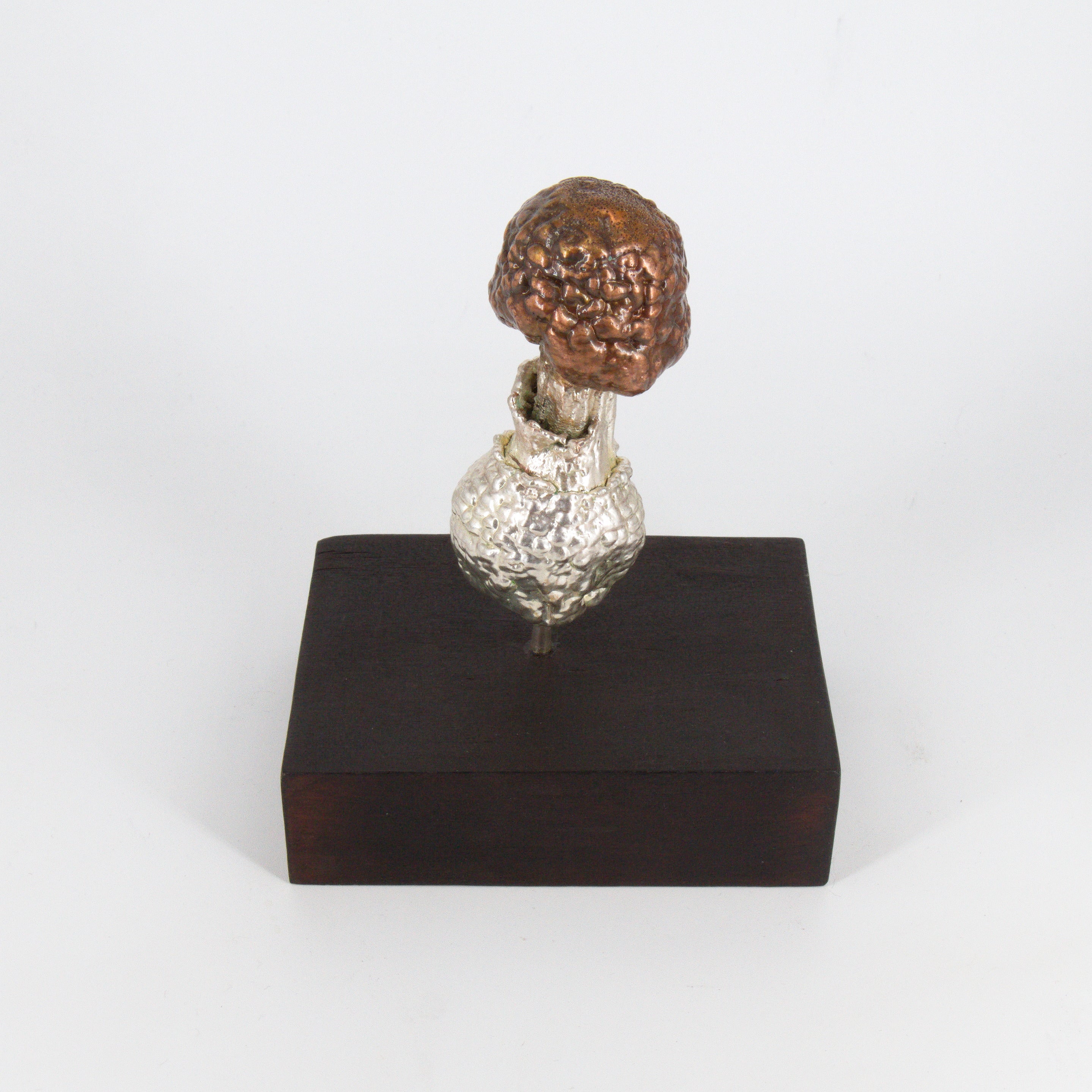 08 - Primordio Amanita muscaria