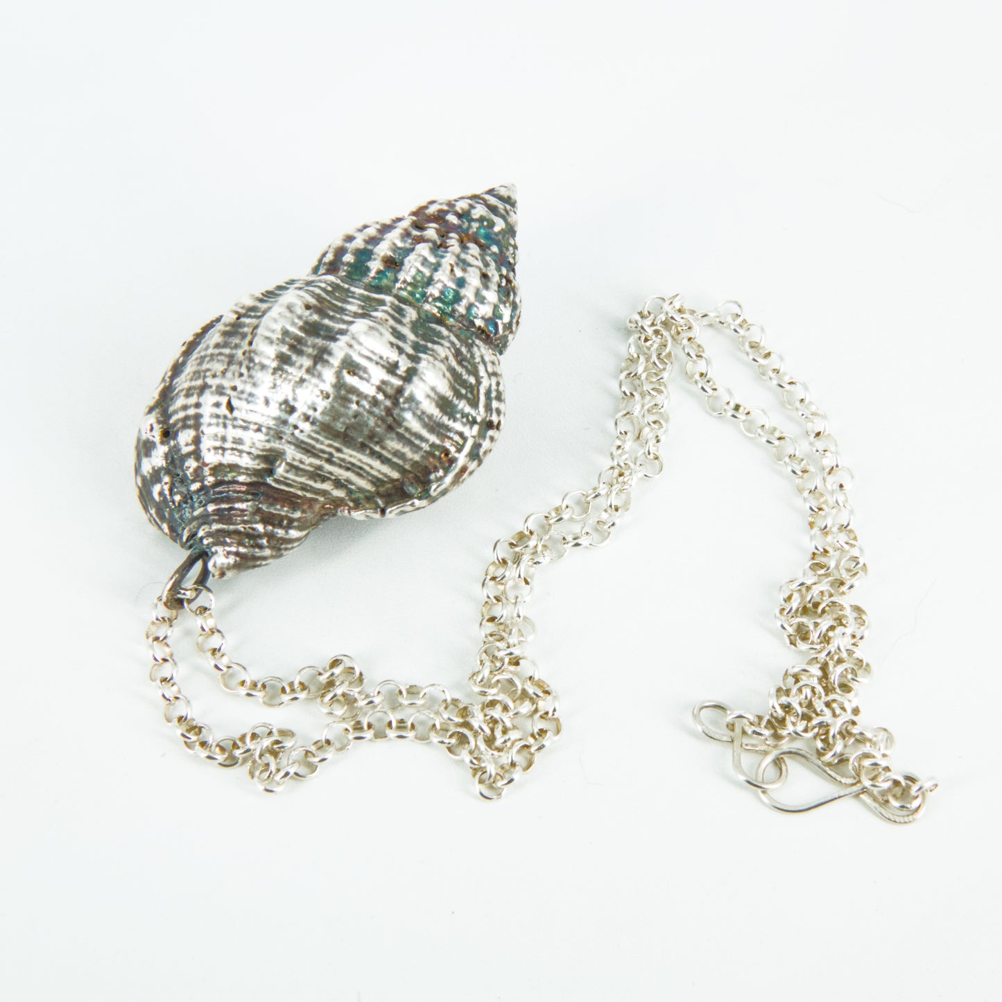 Colgante caracol marino