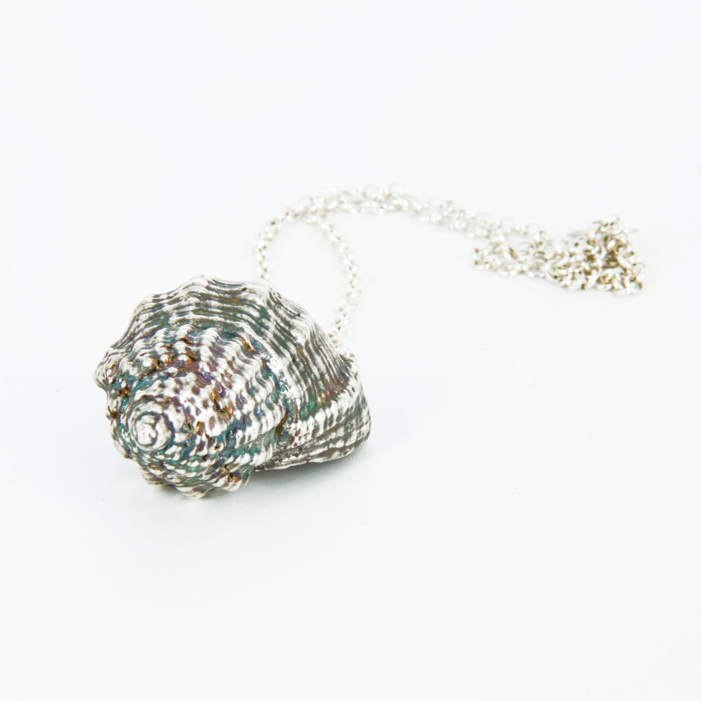 Colgante caracol marino