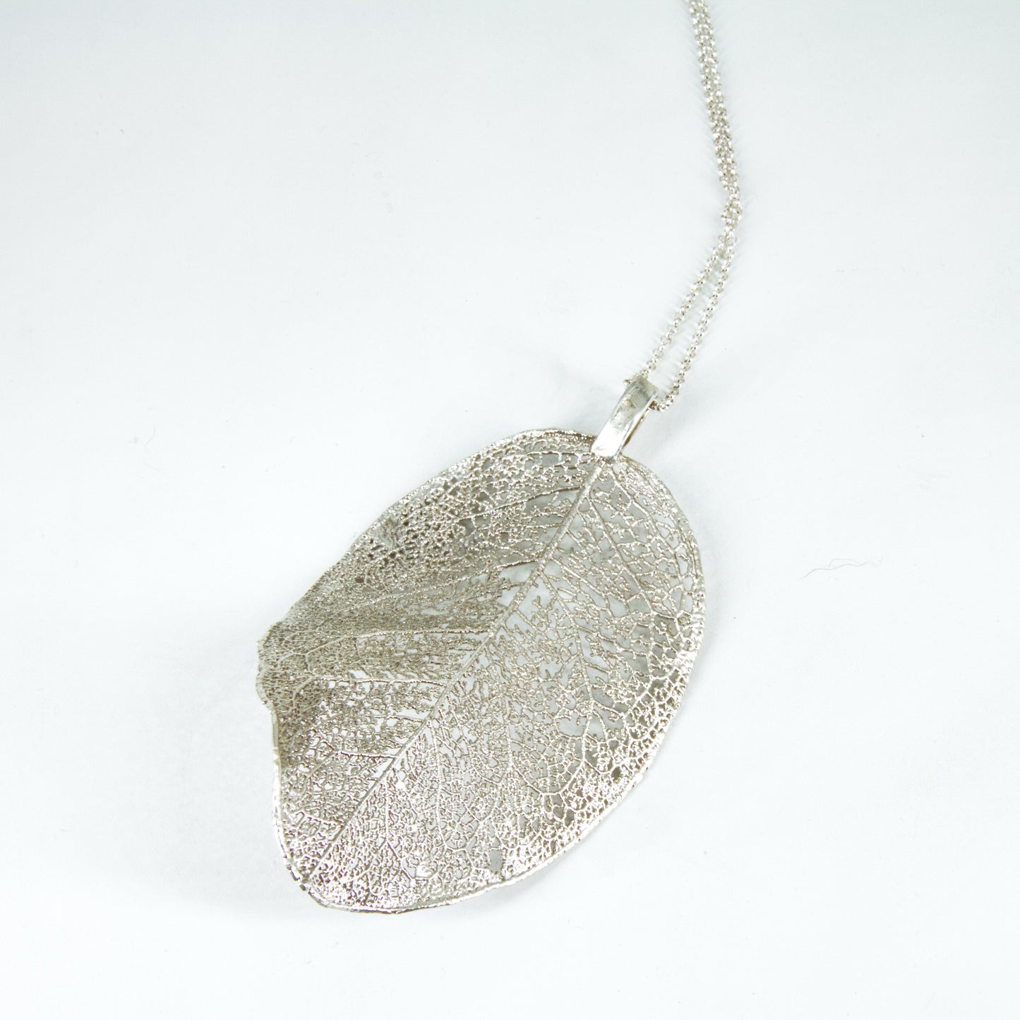 Colgante hoja de boldo