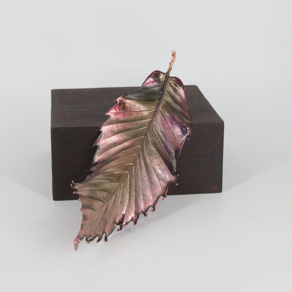 06 - Hoja de castaño