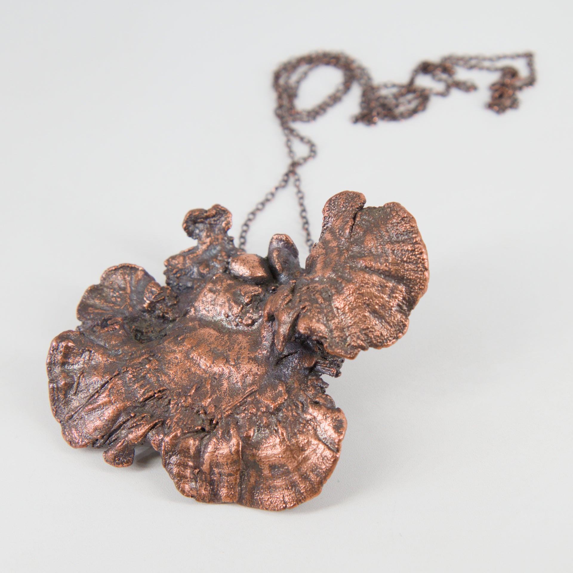 22 - Colgante trametes versicolor