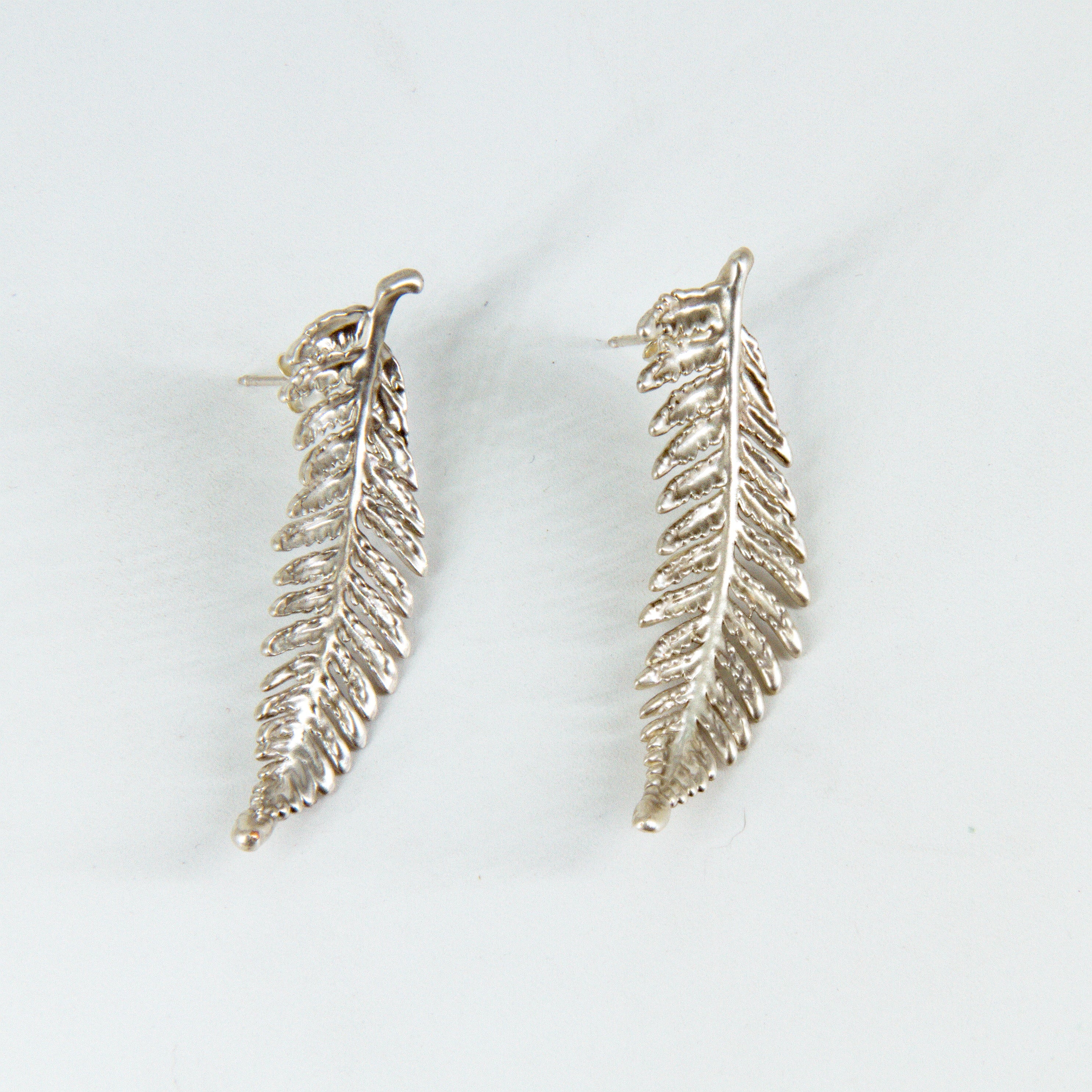 Aros helecho ampe plata