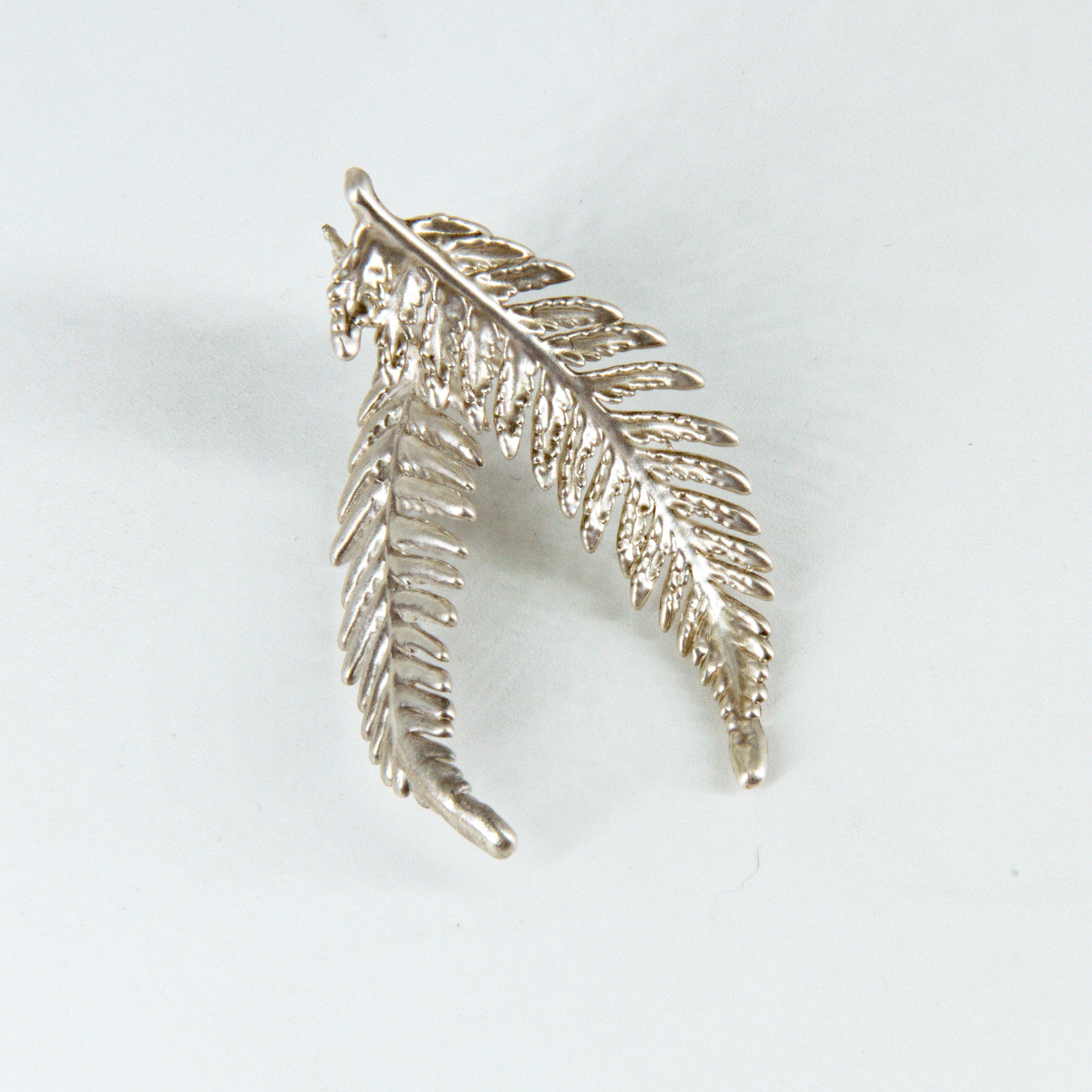 Aros helecho ampe plata