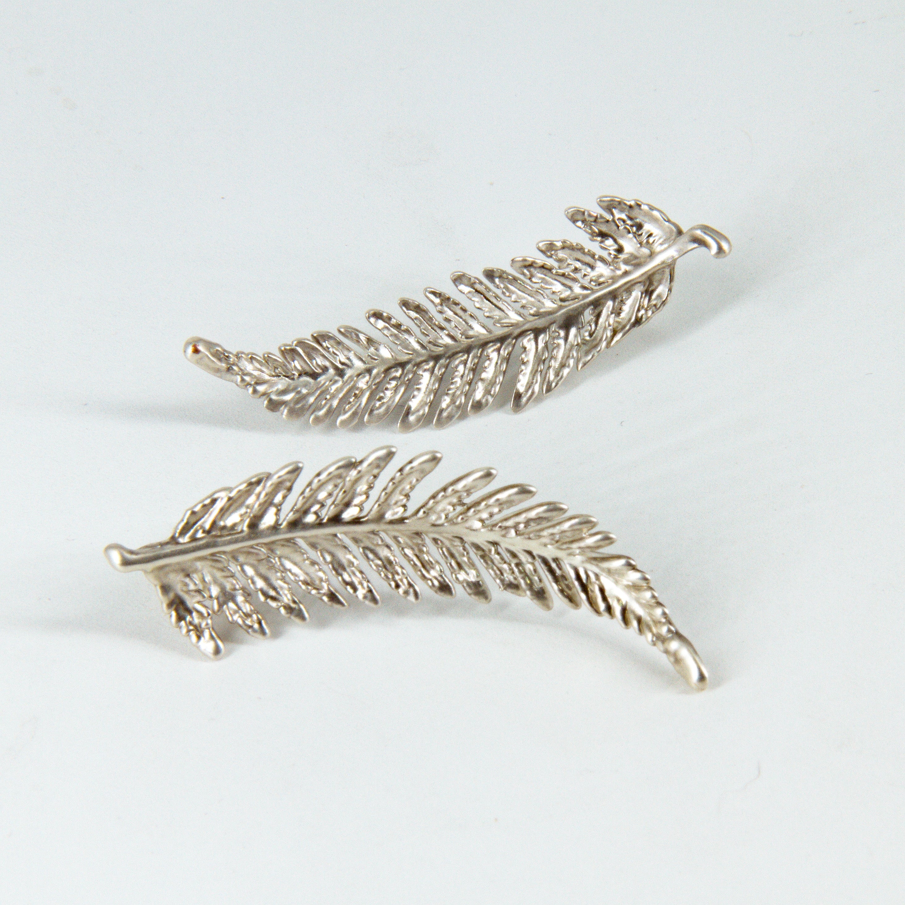 Aros helecho ampe plata