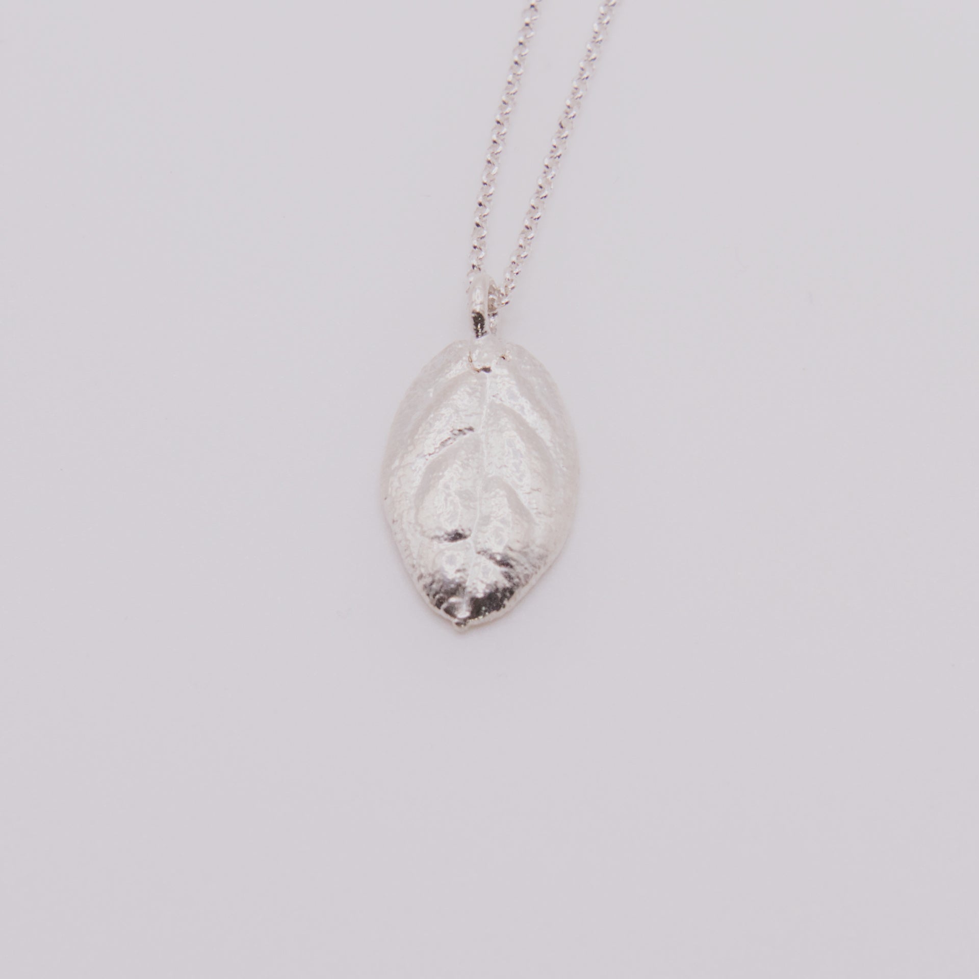 Colgante boldo pequeño plata