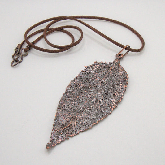 Hoja de Maqui esqueletizada