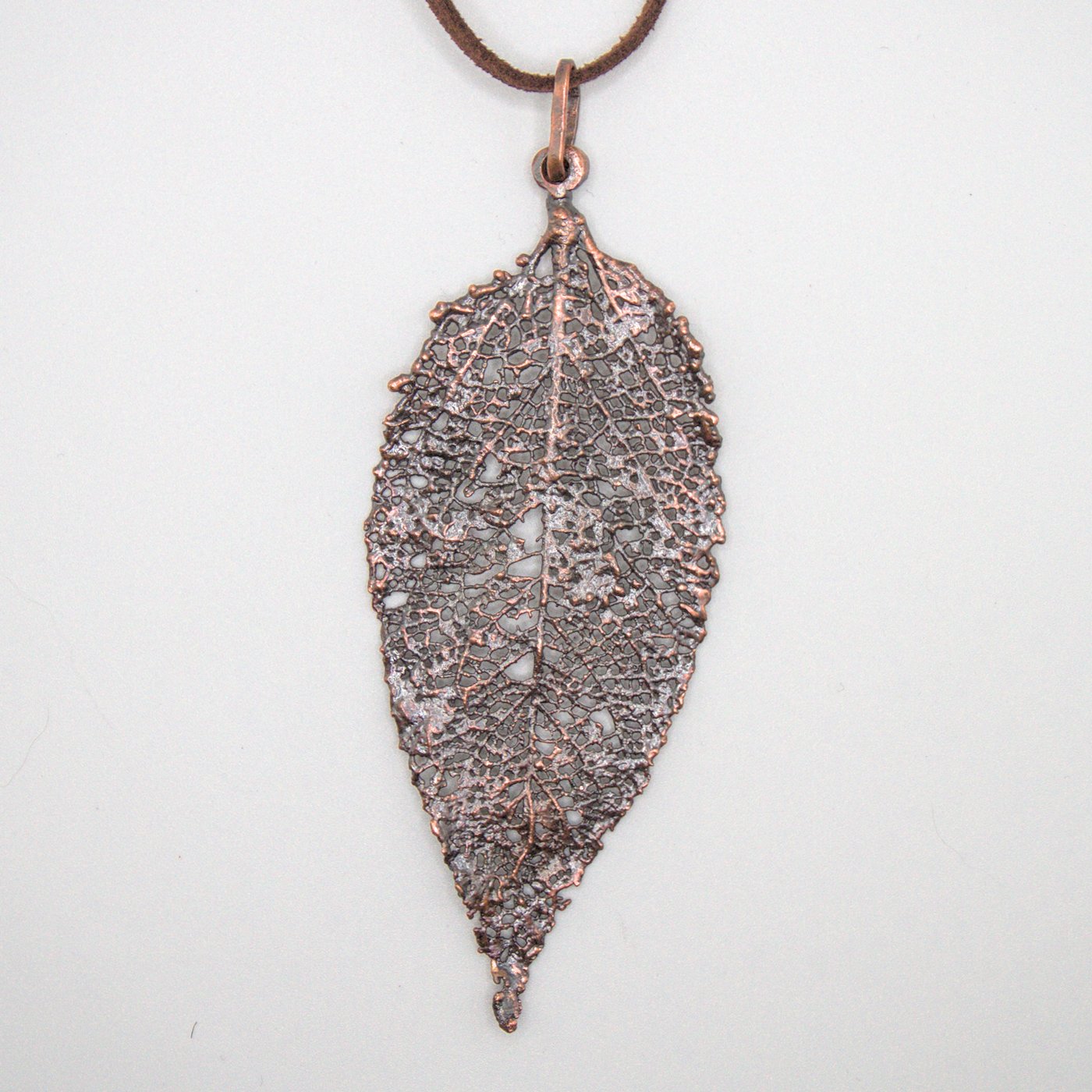 Hoja de Maqui esqueletizada