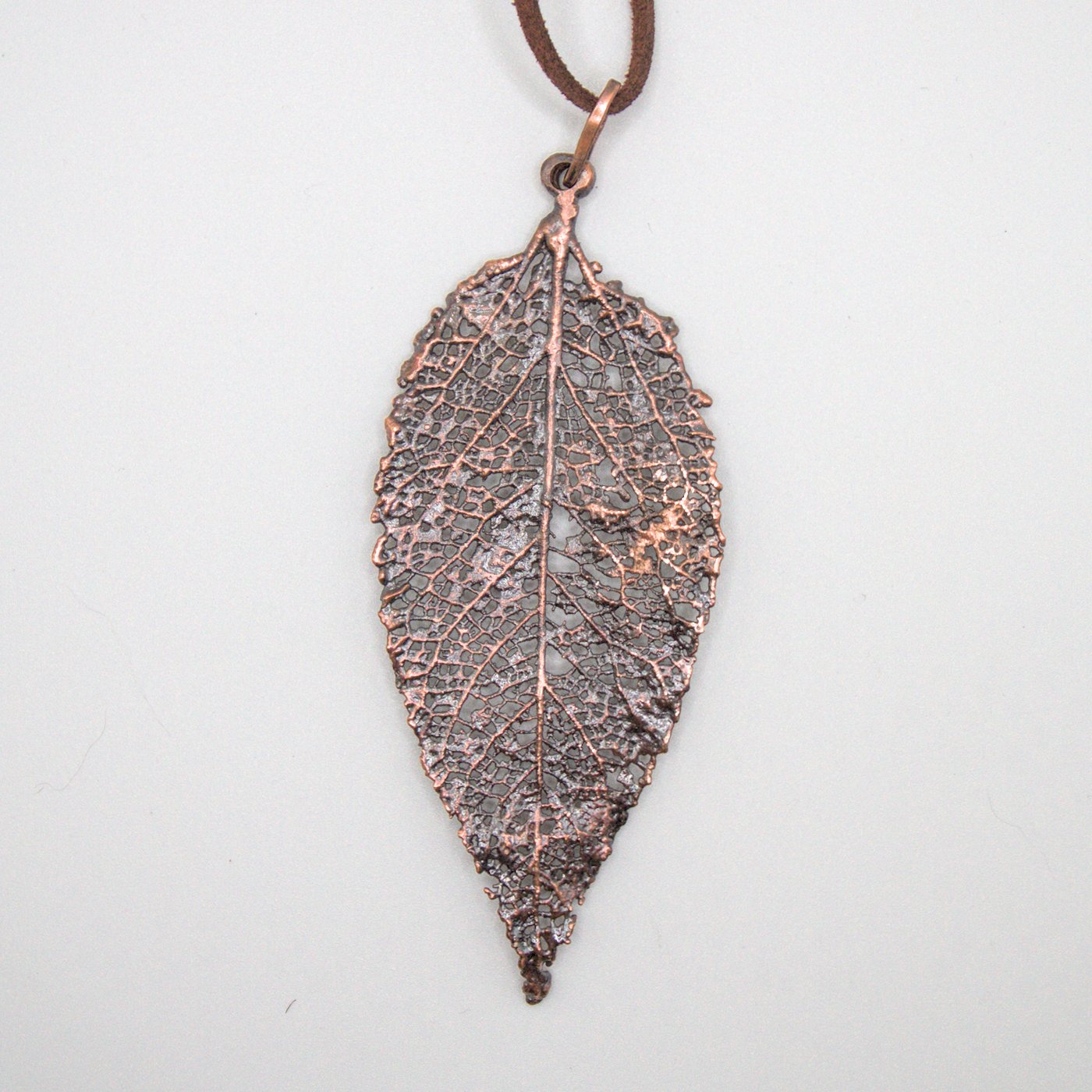 Hoja de Maqui esqueletizada