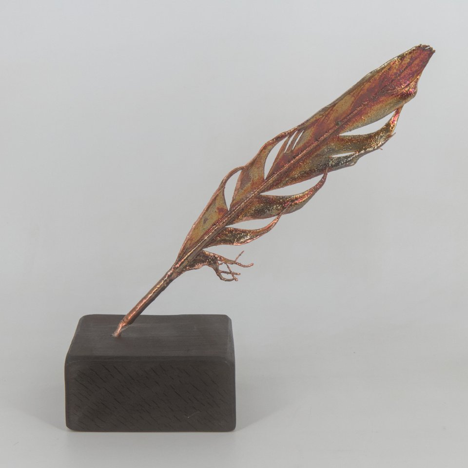 Pluma de Bandurria (Theristicus melanopis)